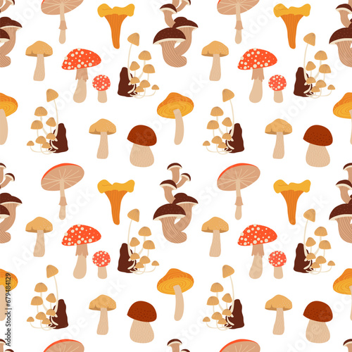 Seamless pattern with mushrooms: amanita, white mushroom, chanterelles, honey agarics, mushrooms, fly agarics, morels. Cartoon style.
