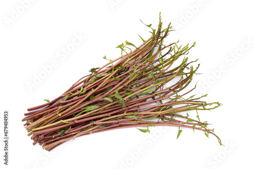 Water convolvulus or water spinach on white background.