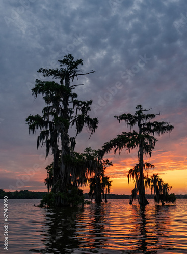 Dramatic Sunset at a Louisiana Bayou Swamp with Bald Cypress Trees