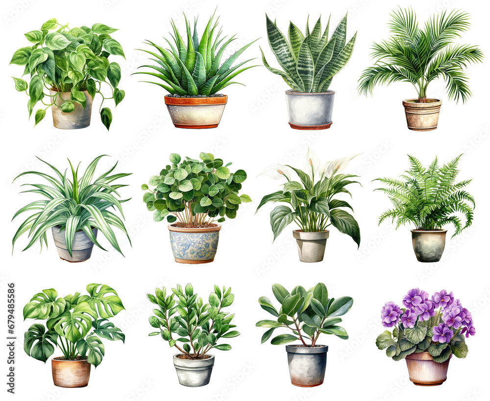 watercolor houseplant elements. set of clipart indoor plant elements ...