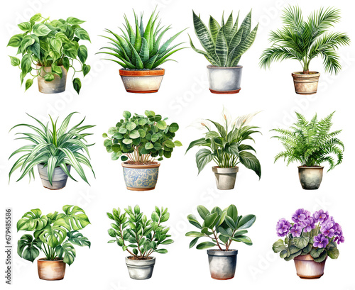 watercolor houseplant elements. set of clipart indoor plant elements. pothos, aloe vera, snake plant, spider plant, chinese money plant, peace lily, monstera, ZZ plant, rubber plant