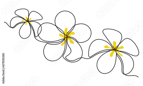 continuous line drawing of Plumeria flowers. Single-line art tropical plant hand drawing Plumeria flowers vector illustration. sketch on a white background.