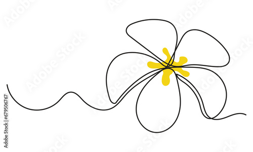 continuous line drawing of Plumeria flowers. Single-line art tropical plant hand drawing Plumeria flowers vector illustration. sketch on a white background.