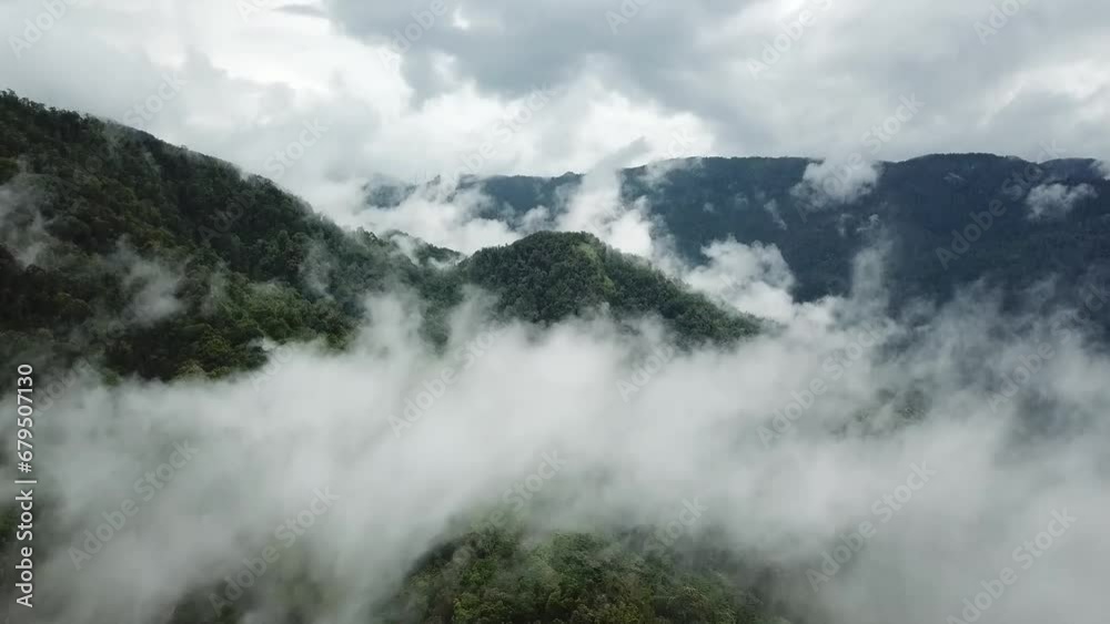 Aerial top down view in natural tourist park or tropical jungle green rainforest. Palopo and Tana Toraja Regency. South Sulawesi. Indonesia. Aerial top down view in natural tourist park or tropical jungle green rainforest. Palopo and Tana Toraja Regency. South Sulawesi. Indonesia.