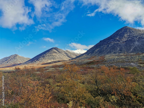 Autumn Arctic landscape in the Khibiny mountains. Kirovsk  Kola Peninsula  Polar Russia. Autumn colorful forest in the Arctic  Mountain hikes and adventures.