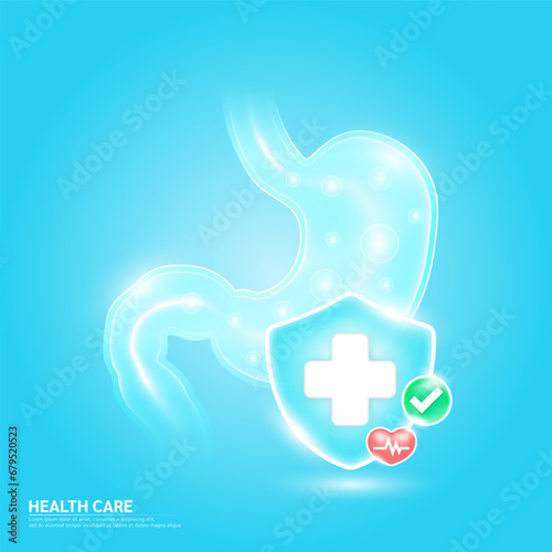 Medical health care. Stomach human organ and symbol cross in blue shield glass and red heart pulse line with check mark green button. Life health insurance concept. Medical service. Vector EPS10.