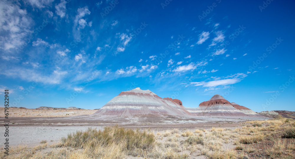 Lonely desert landscape in Petrified Forest National Park in Arizona United States