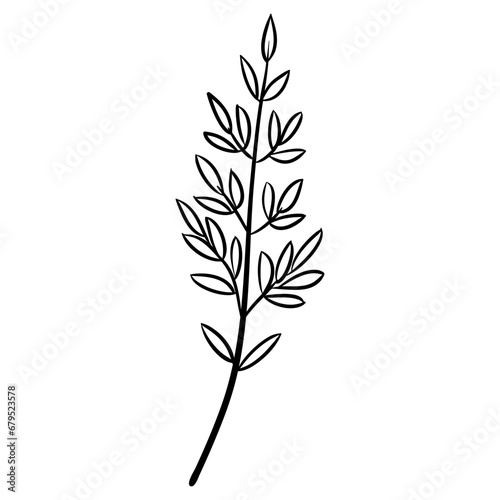 Drawn Vector Twig With Leaves on a White Background