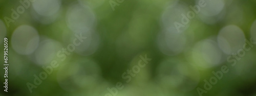 Green natural bokeh background. Panorama view of green leaf on blurred greenery background in garden with copy space. Green nature spring and nature light in blurred style. ESG, Co2, SDGs, Net Zero.