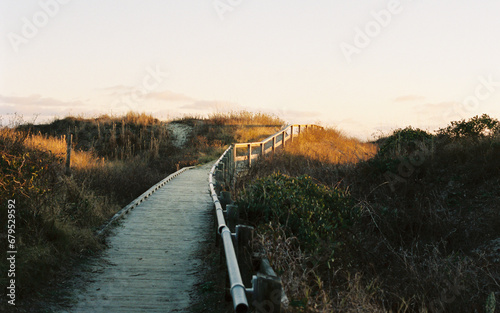 Boardwalk to the ocean on Sullivans Island SC photo
