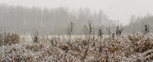 The first frosts of snow on dry grass