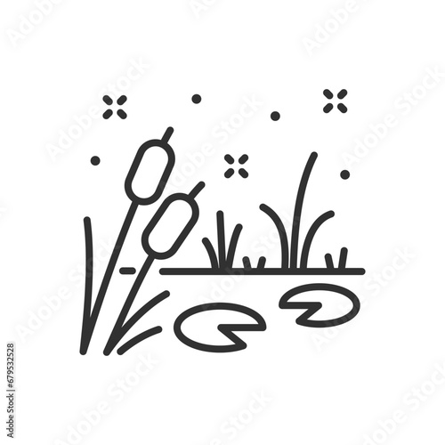 Pond with cattails and lilies, linear icon, swamp. Line with editable stroke photo