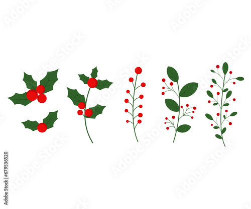 Set of red berries