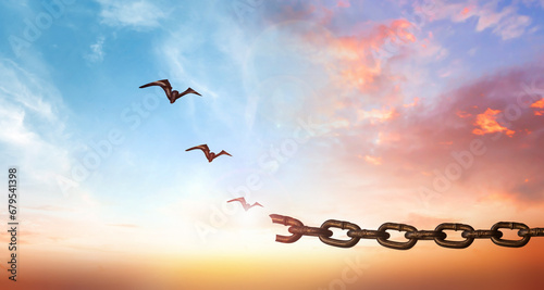 hope concept, Bird flying and broken chains over blurred nature sunrise background #679541398