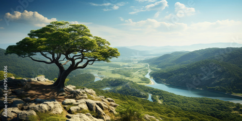 Tree standing atop a mountain with a river in the distance