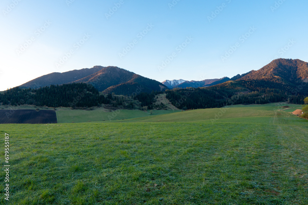 green field in countryside at sunset in the evening light. beautiful spring landscape in the mountains. grassy field and hills. rural scenery