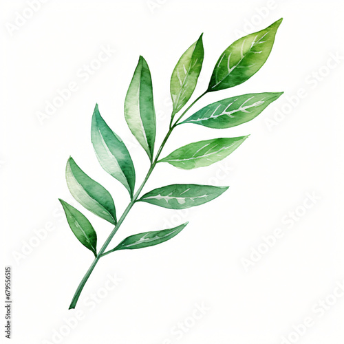 Watercolor green leaf branch paper painting isolated on white background