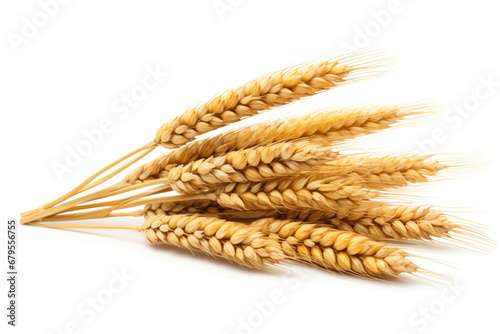 Ears of wheat on white background