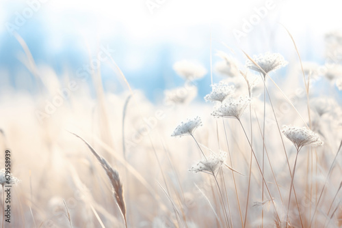 Abstract landscape of dry frozen wildflower and grass meadow Tranquil winter fall nature field background.
