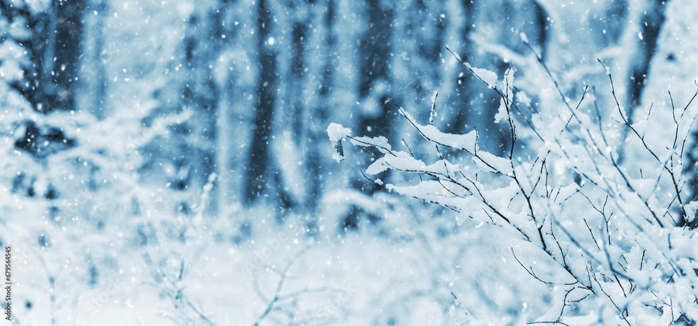 Winter forest with snow-covered bush on the background of trees during snowfall Winter forest with snow-covered bush on the background of trees during snowfall