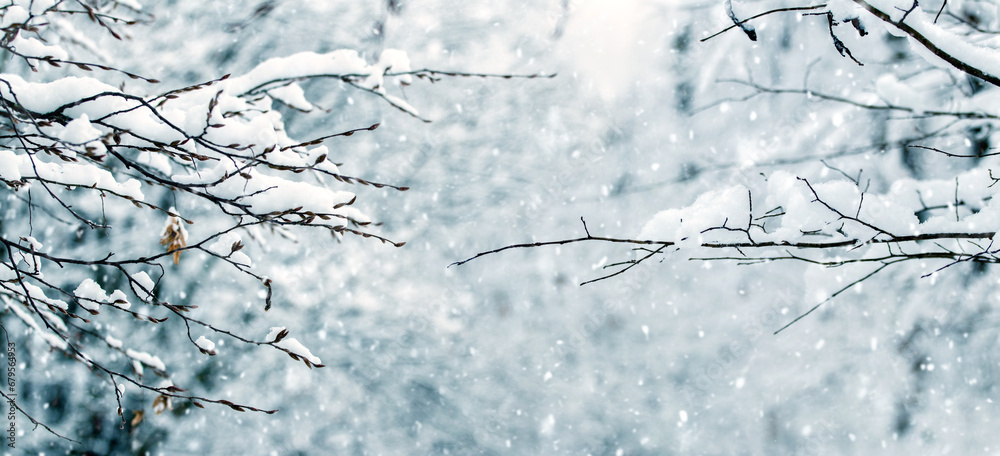 Winter forest with fluffy snow-covered tree branches during snowfall Winter forest with fluffy snow-covered tree branches during snowfall