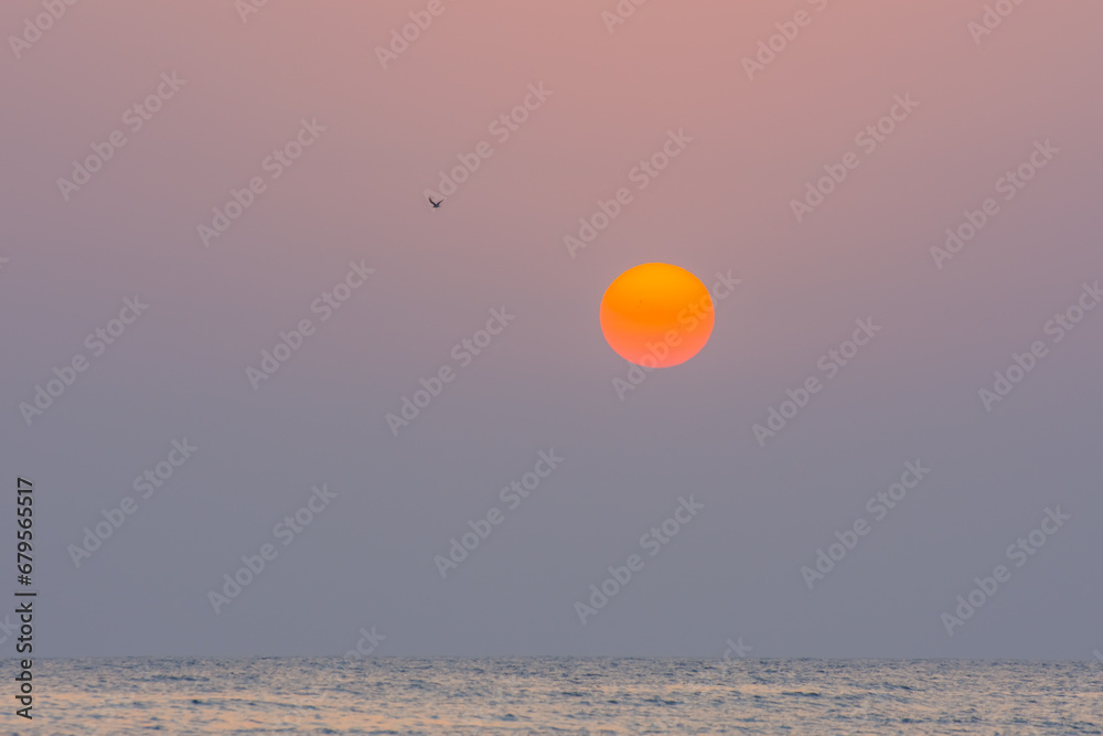 sun with a seagull at the colorful sky at the sea on vacation sun with a seagull at the colorful sky at the sea on vacation