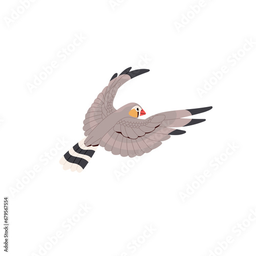 Fotografía Sunda zebra finch flying in sky