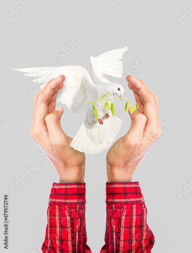 White dove holds out an olive branch. Hands embracing peace. A world without war. Hands resisting oppression. World War. A world where peace wins. Photo manipulation. (ID: 679572744)