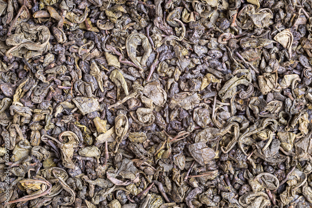 Dried natural large tea leaves close up. Tea Zhu Lu also known as Gunpowder. Dried natural large tea leaves close up. Tea Zhu Lu also known as Gunpowder.