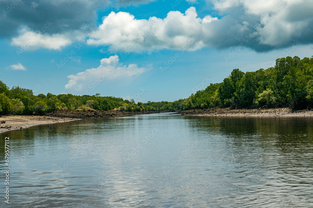 Mangrove forests at the shores of Indian Ocean near Manda Isalnd, Lamu, Kenya Mangrove forests at the shores of Indian Ocean near Manda Isalnd, Lamu, Kenya