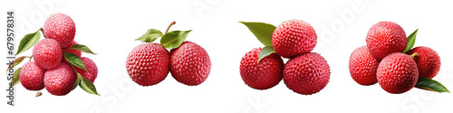 Lychee fruit  Hyperrealistic Highly Detailed Isolated On Transparent Background Png File