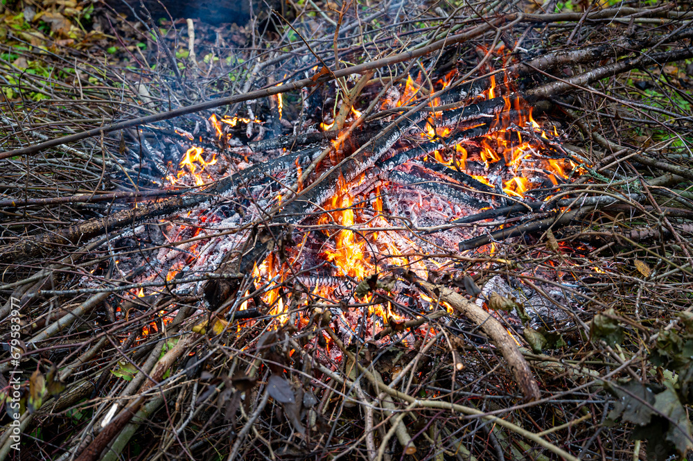 Fire made of twigs from garden cleaning Fire made of twigs from garden cleaning