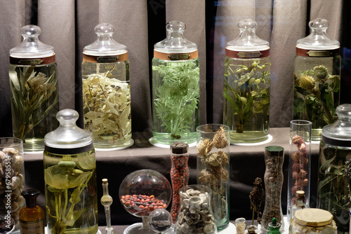 Tableau sur toile Several glass jars containing different poisonous or hallucinogenic plants such as jimsonweed, etc