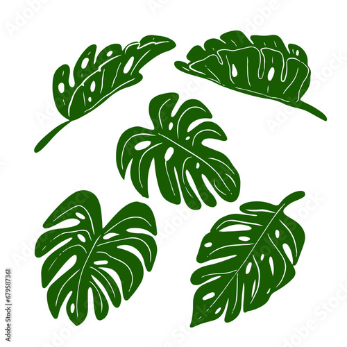 aroid leaf vector set design