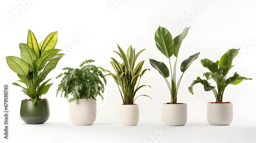 Plant pot isolated on white background.
