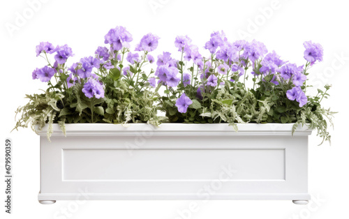 Marvelous Colorful Window Box Isolated on Transparent Background PNG. photo