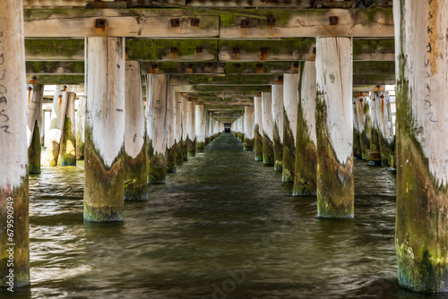 Long tunnel under the wooden water pier with big wooden bars full of green water mud photo