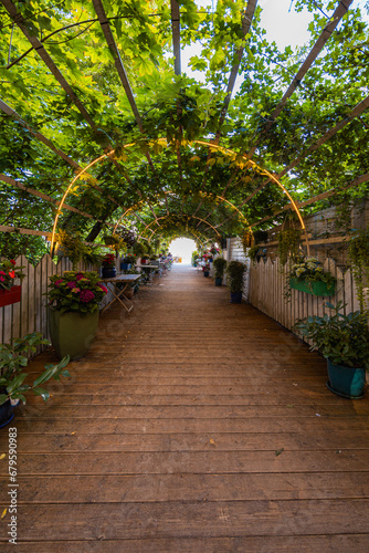 Beautiful green tunnel full of green plants flowers and lights as entrance to the beach