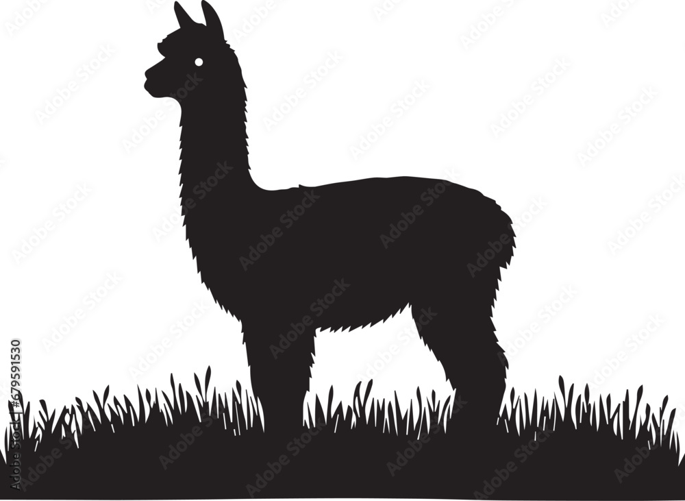 Fototapeta premium Alpaca Silhouettes EPS Alpaca Vector Alpaca Clipart