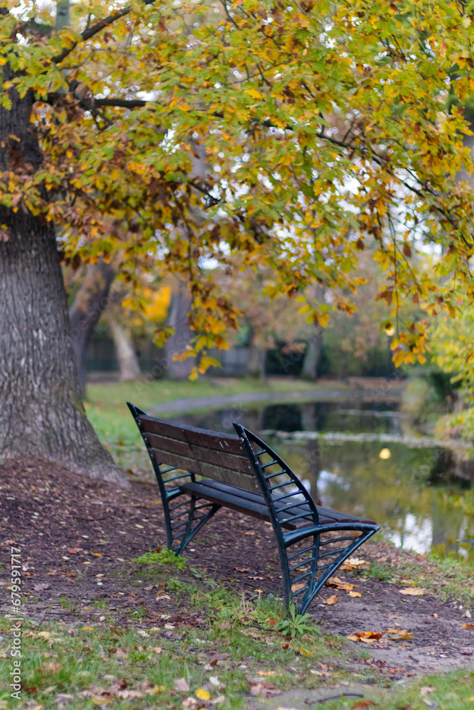 A single bench under the fall leaves tree and its trunk during autumn season with canal along the passage with beautiful scenic of day time 