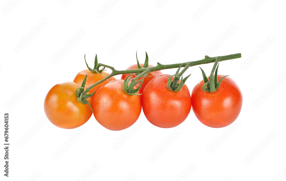 fresh tomato transparent png