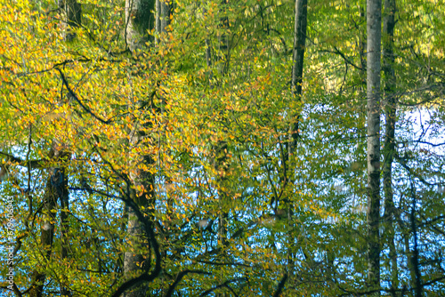 Yedigöller or Seven Lakes National Park is in Turkey.
Reflection of a lake with trees and blue sky in autumn colors. Yedigöller, Bolu.
Yedigöller in autumn. Bolu, Türkiye.