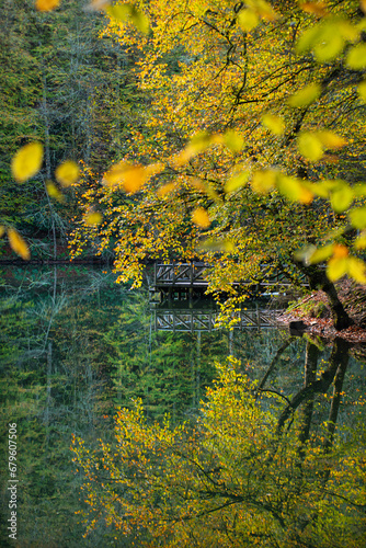 Yedigöller or Seven Lakes National Park is in Turkey.
Reflection of a lake with trees and blue sky in autumn colors. Yedigöller, Bolu.
Yedigöller in autumn. Bolu, Türkiye.
