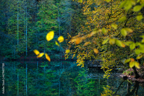 Yedigöller or Seven Lakes National Park is in Turkey.
Reflection of a lake with trees and blue sky in autumn colors. Yedigöller, Bolu.
Yedigöller in autumn. Bolu, Türkiye.