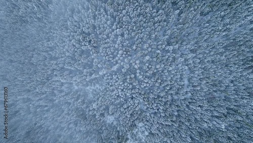 Mountains forest sun landscape frozen ice winter snow photo