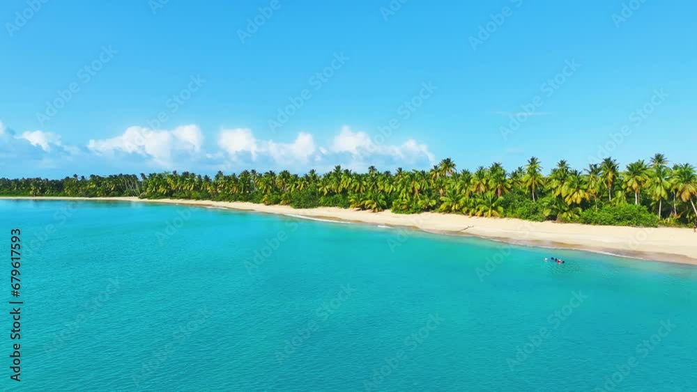 Caribbean tropical outdoor beach on palm island paradise. Sea sand and sky. Beach sea view in summer sunshine. Landscape of vibrant wildlife. Exotic summer vacation.