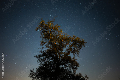 Night sky with stars