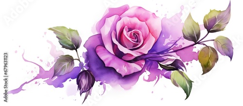 Purple rose and falling petals flower. Watercolor  AI generated image
