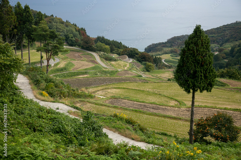 Rice terraces in Iwakubi, Sado Island, Niigata prefecture.