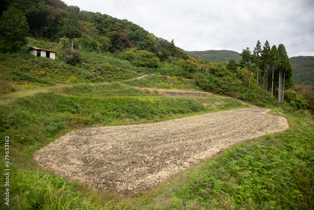 Rice terraces in Iwakubi, Sado Island, Niigata prefecture.